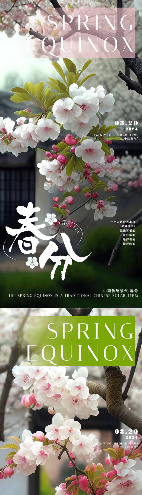 源文件下載【享設計】搜索編號：67180022414289334【春分花開時海報】