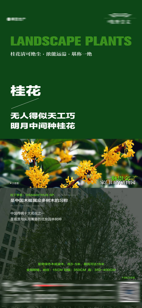 源文件下載【享設計】搜索編號：50270022290079491【地產園區樹木綠植科普介紹海報】