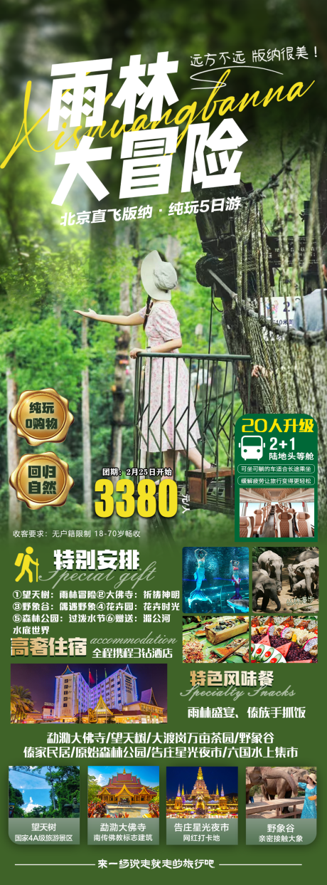 雨林大冒险旅游长图海报-源文件【享设计】
