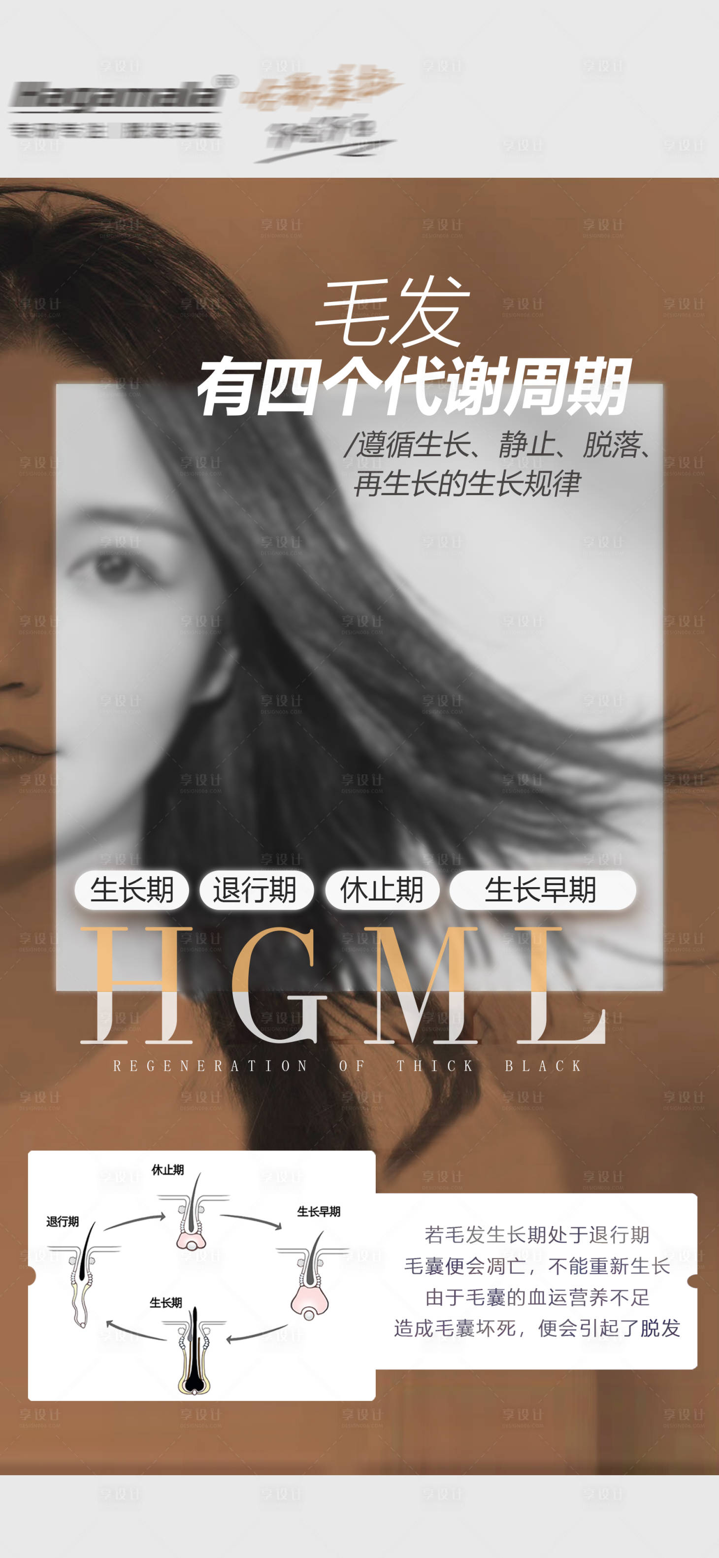 源文件下载【享设计】搜索编号：97880022471268381【毛发代谢周期海报】