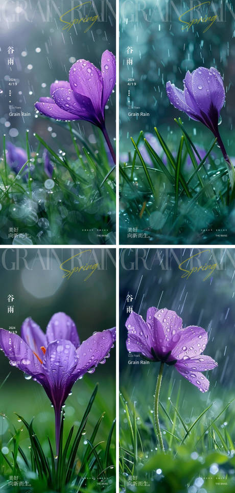 谷雨节气花朵海报