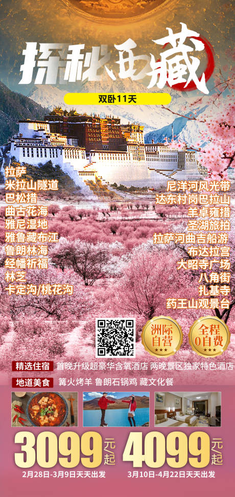 编号：69490022786234872【享设计】源文件下载-探秘西藏旅游海报