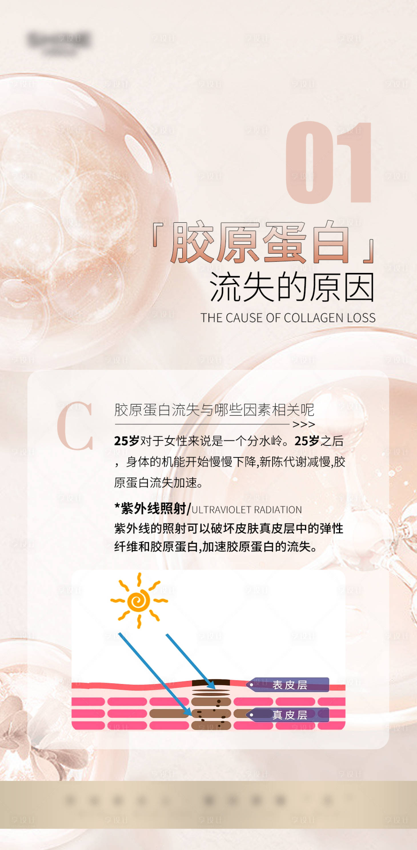 源文件下载【私密科普】编号：51710022587514361