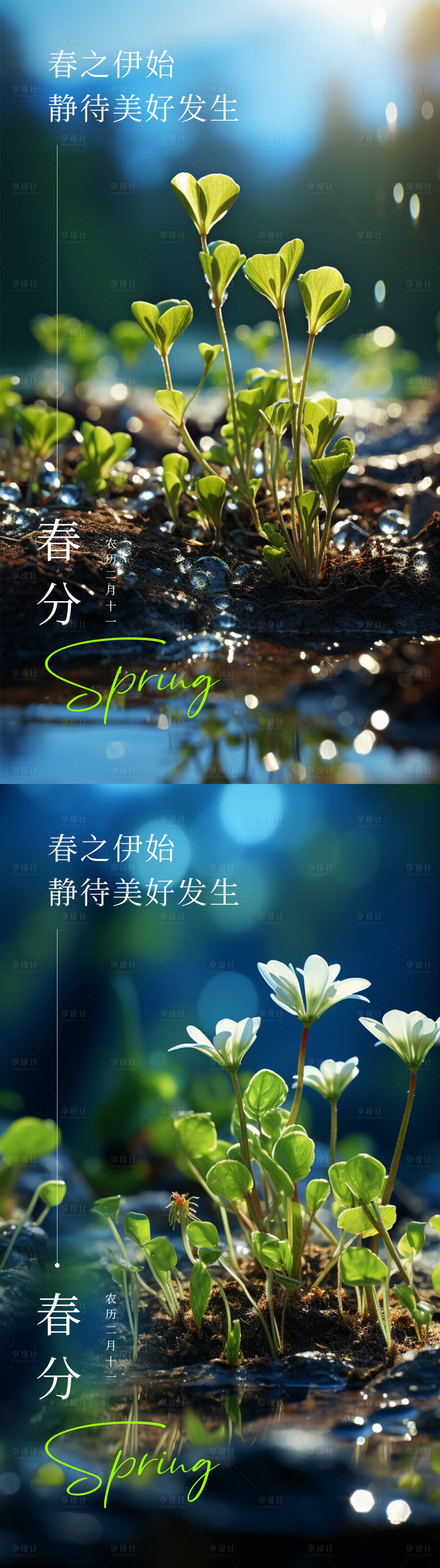 源文件下载【春分节气实景系列海报】编号：58400022425758775