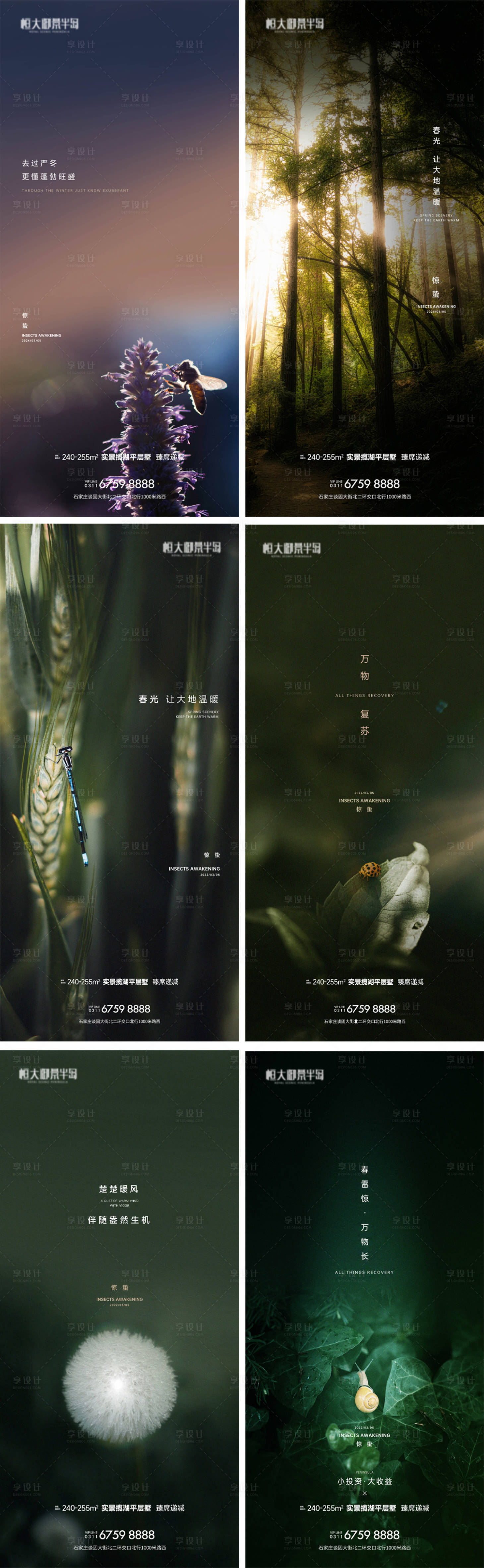 源文件下載【地產驚蟄節氣系列海報】編號：79790022228567436
