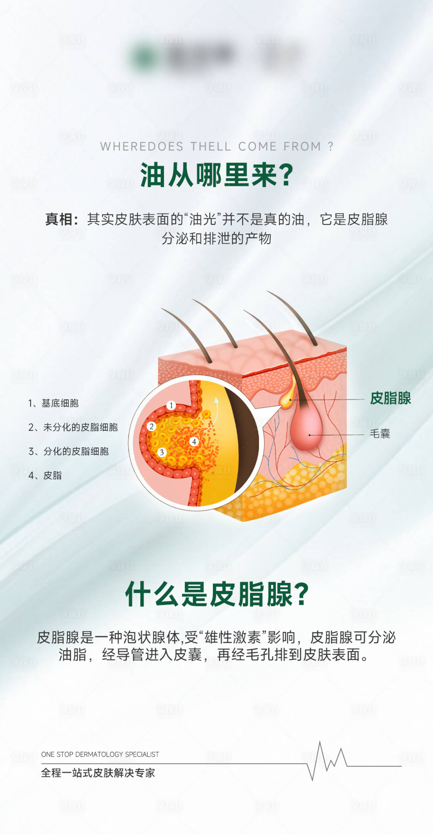 源文件下载【享设计】搜索编号：83700022570922154【美业护肤品科普护肤海报】