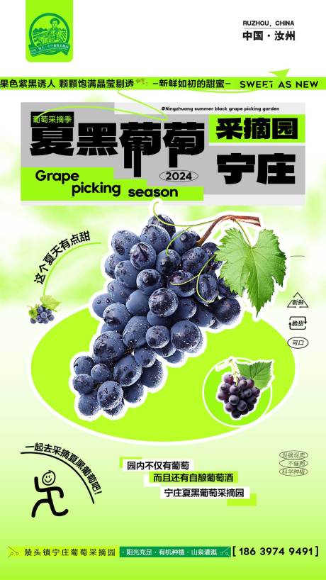 源文件下载【葡萄采摘园活动海报】编号：40330022888162566