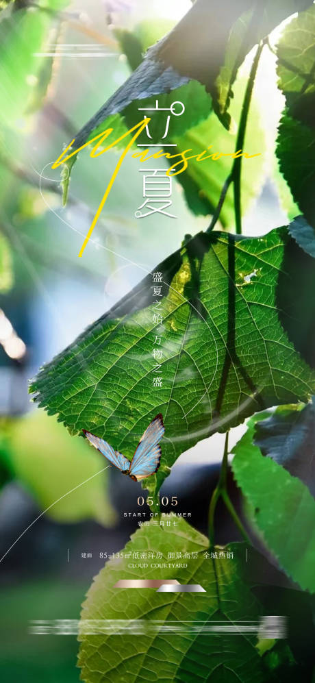源文件下載【享設計】搜索編號：35480022921858737【立夏節氣海報】