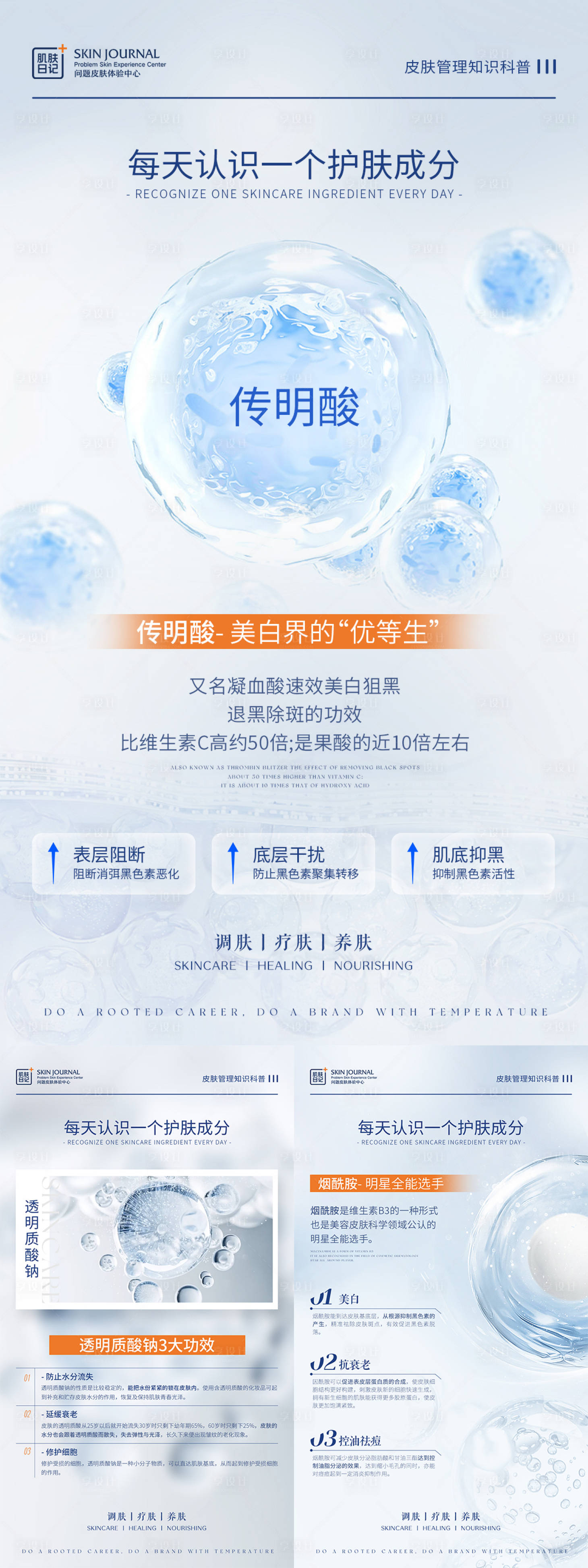 源文件下載【享設(shè)計(jì)】搜索編號(hào)：73840022544972849【成分系列海報(bào)】
