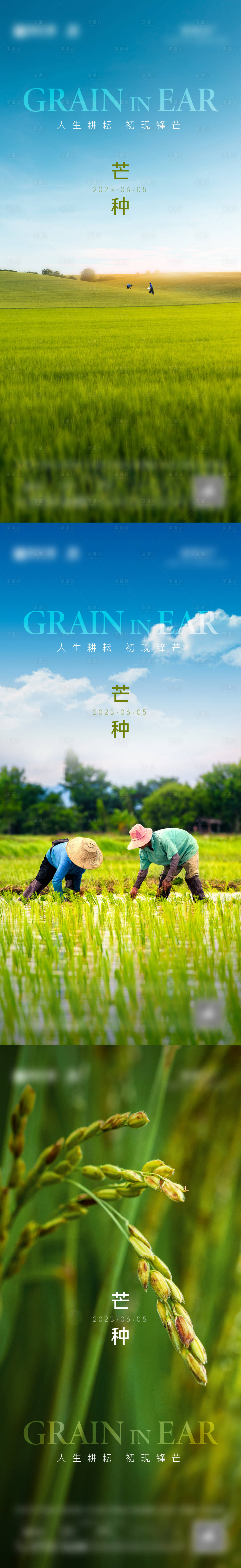 源文件下载【芒种系列海报】编号：39610022649652734