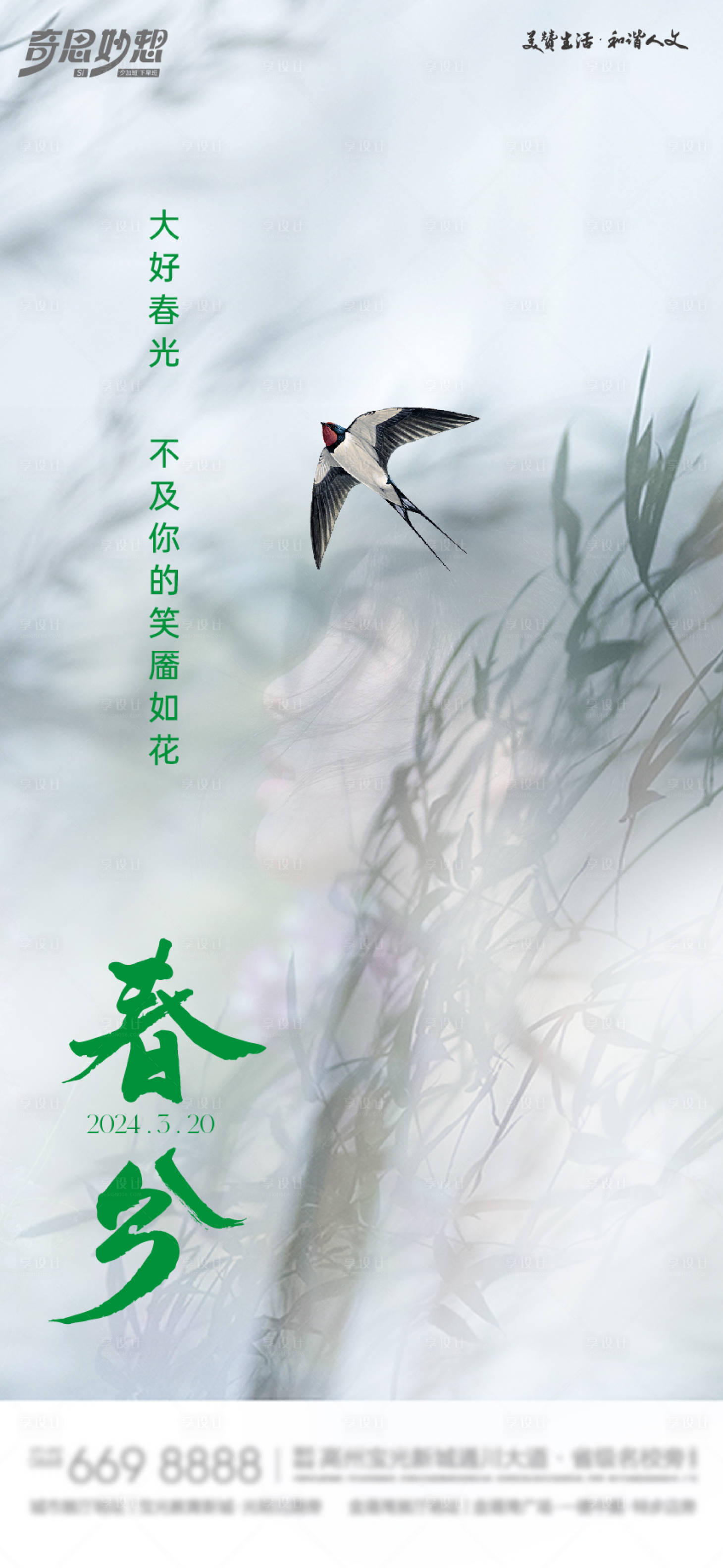 源文件下载【春分海报】编号：13660022578673747