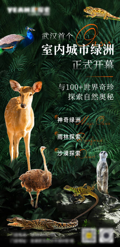 源文件下載【室內動物園宣傳海報】編號：92130022642255937