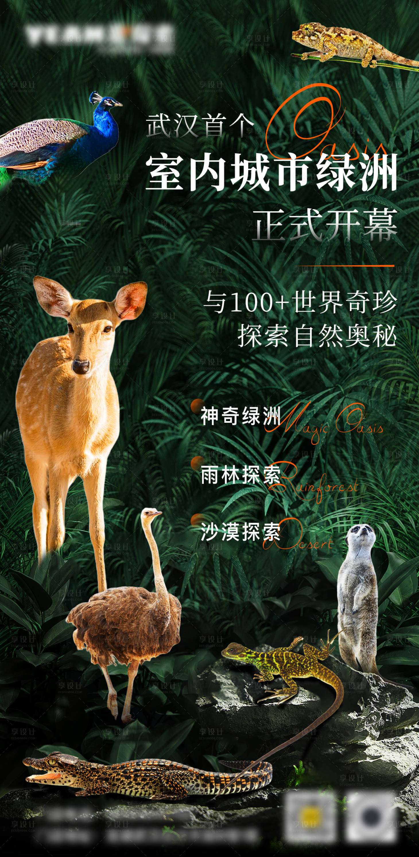 源文件下载【享设计】搜索编号：92130022642255937【室内动物园宣传海报】