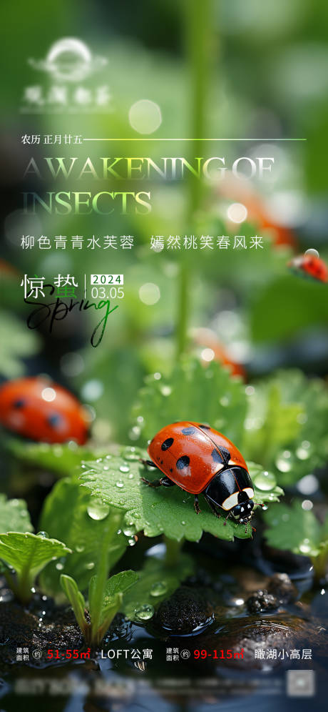源文件下載【驚蟄海報】編號：95150022303073770