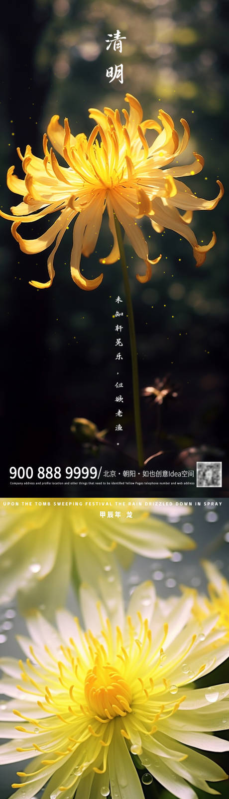源文件下载【清明菊花海报】编号：78450022883583826
