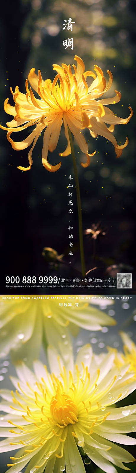 编号：78450022883583826【享设计】源文件下载-清明菊花海报