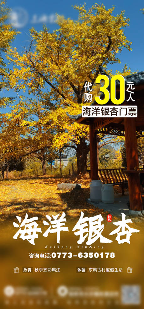 源文件下載【享設計】搜索編號：49380022670525111【古村銀杏旅游海報】