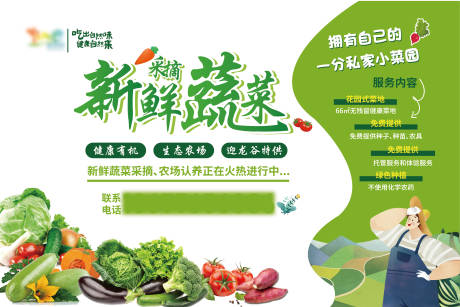 编号：96080022974655704【享设计】源文件下载-新鲜蔬菜采摘宣传海报