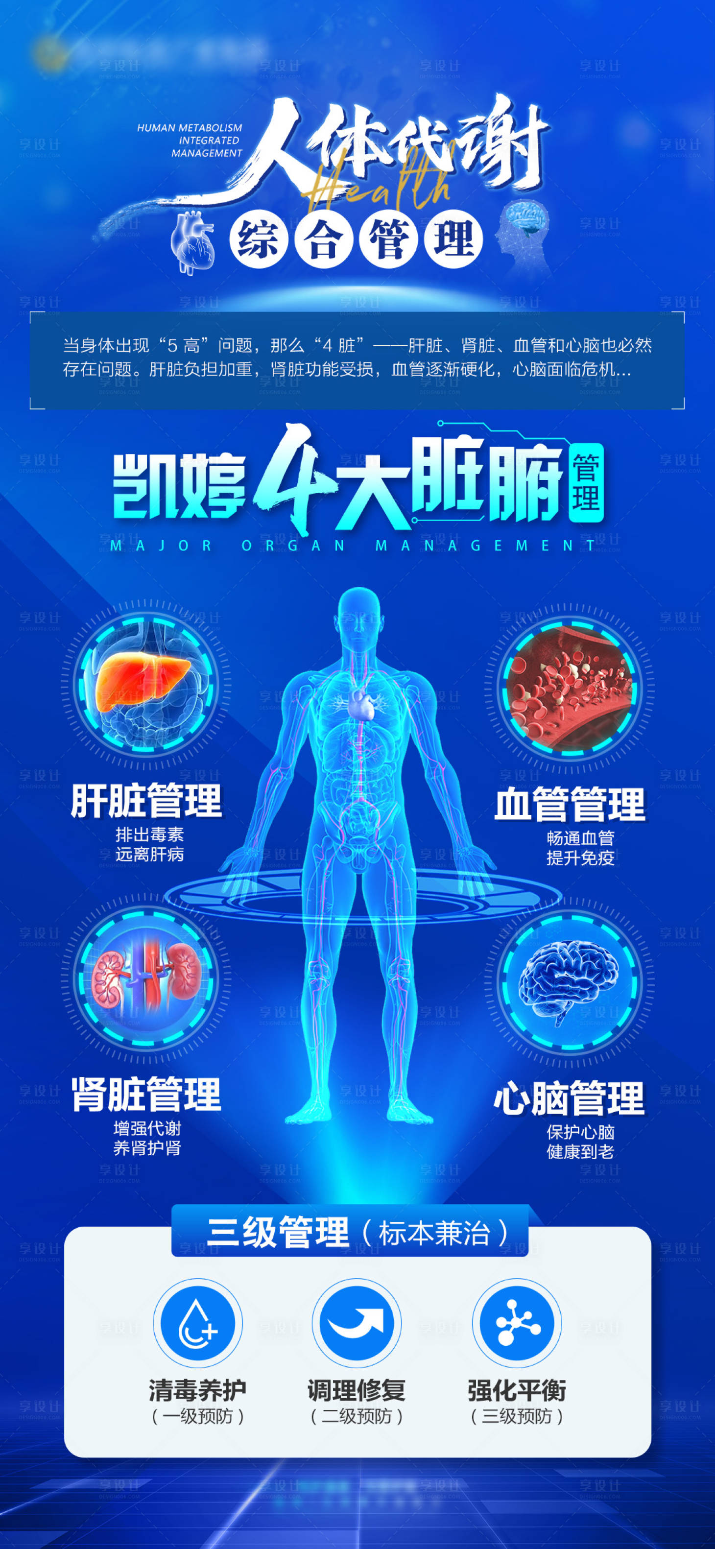 源文件下载【人体代谢海报】编号：33550023348944034
