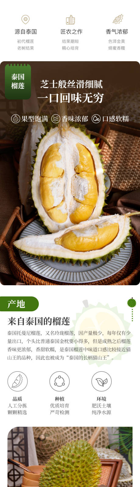 源文件下載【享設計】搜索編號：25630023187408136【托曼尼榴蓮詳情】