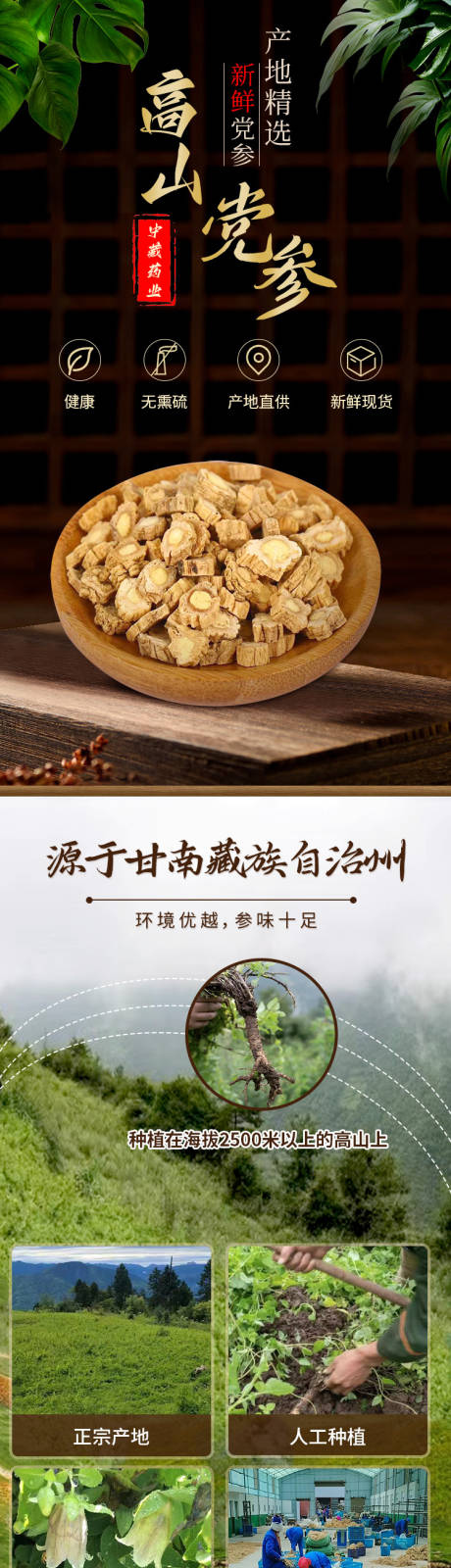 源文件下载【享设计】搜索编号：85400023608613955【党参电商详情页】