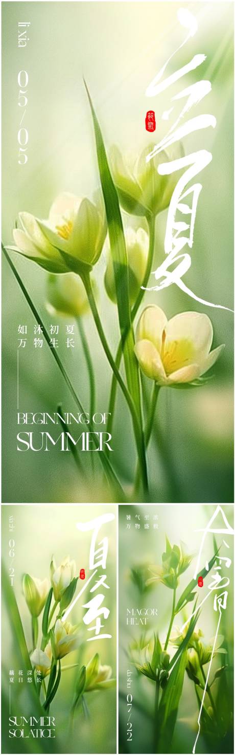 源文件下载【立夏夏至大暑节气植物海报】编号：53220023398468368