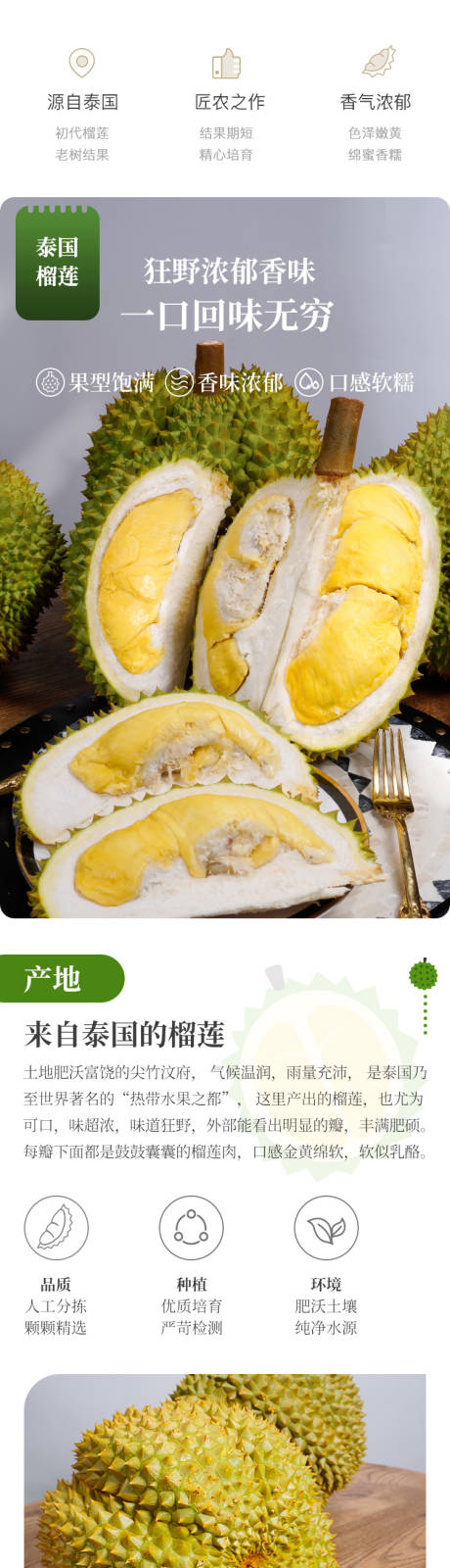 源文件下载【甲仑榴莲详情页】编号：81450023165452150