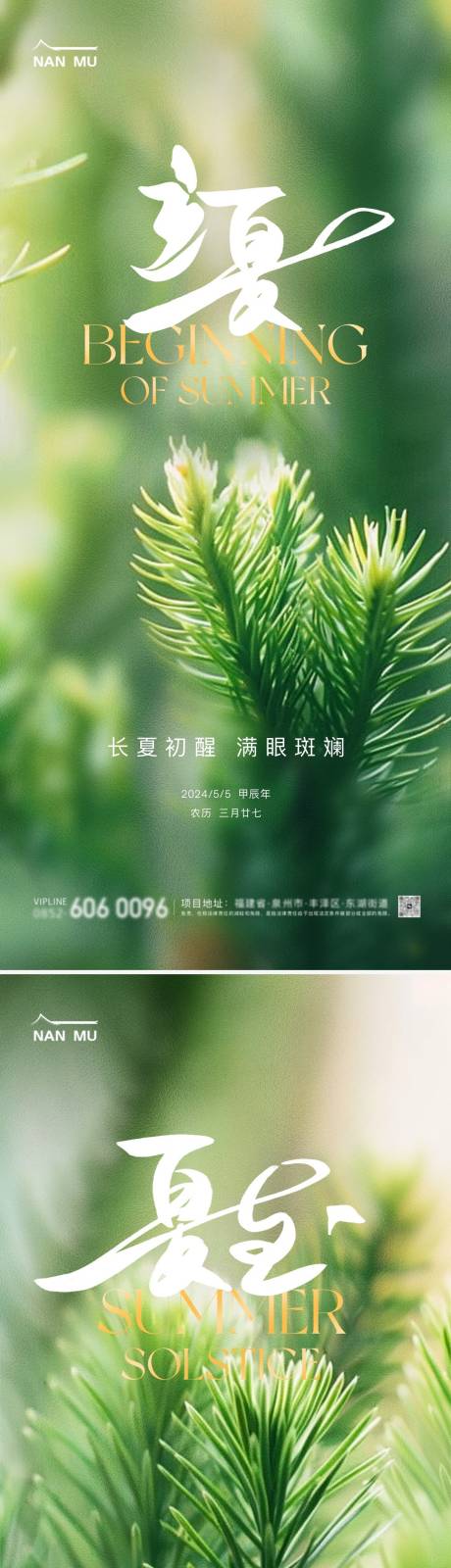 源文件下载【立夏夏至节气植物海报】编号：88610023398423366