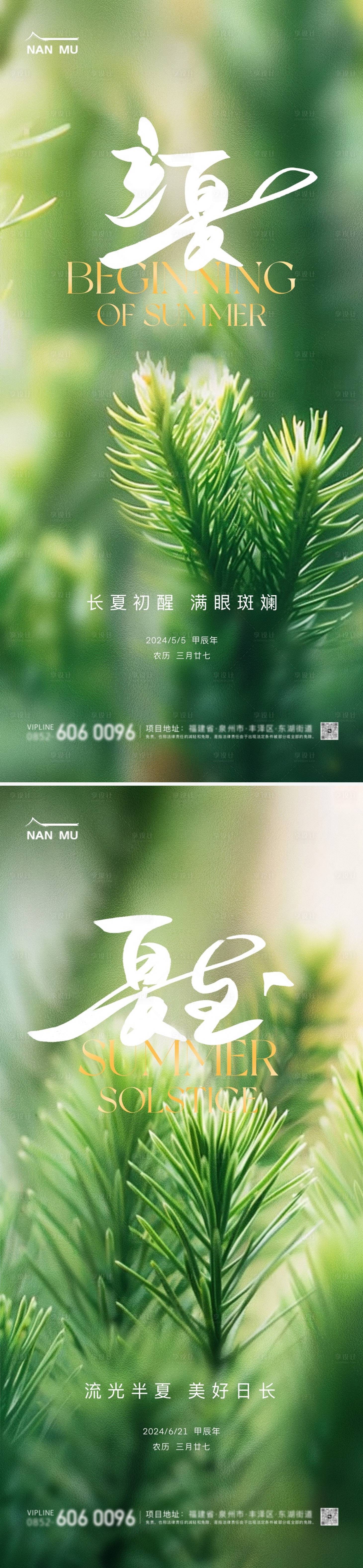 源文件下载【立夏夏至节气植物海报】编号：88610023398423366