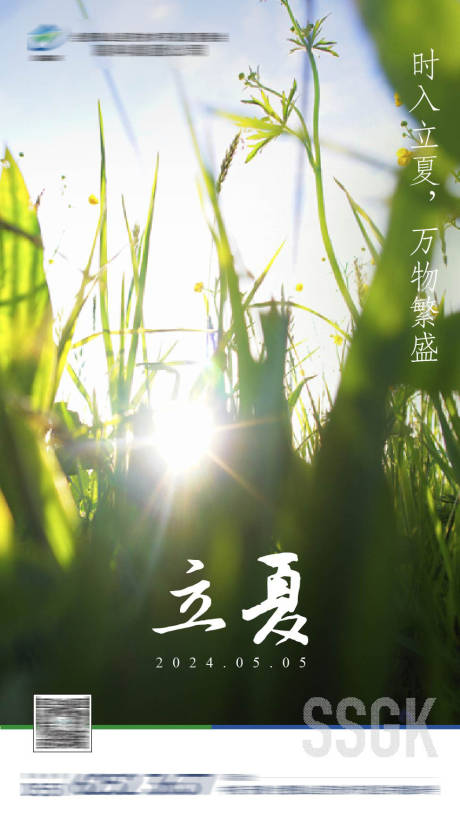 源文件下载【地产立夏节气海报】编号：13710023175681485