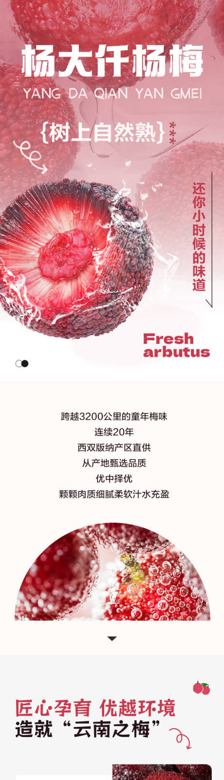 源文件下载【杨梅宣传长图】编号：34050023168797656