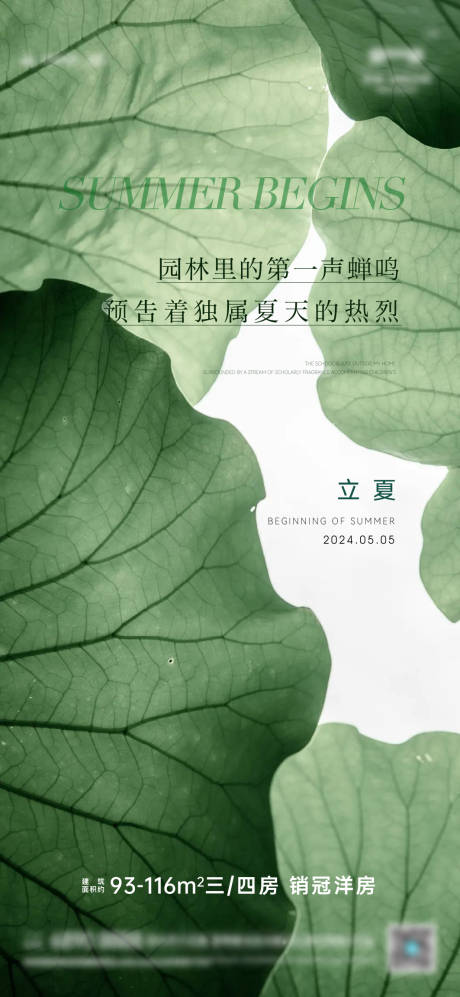 源文件下载【立夏节气海报】编号：91430023645279627