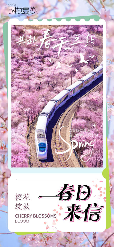 春日樱花海报