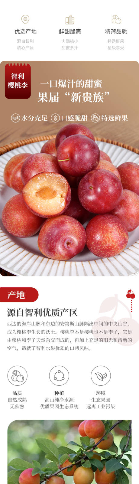 源文件下載【櫻桃李詳情】編號：68210023190149731