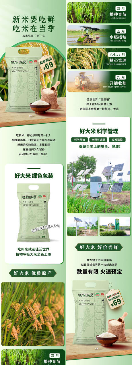 源文件下載【大米商品電商長圖詳情】編號：67930023112632752