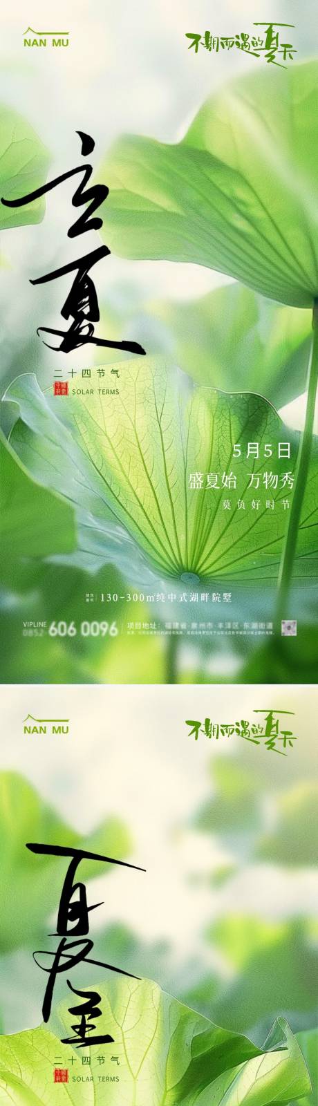 源文件下载【立夏夏至节气荷叶清新海报】编号：45670023524921379