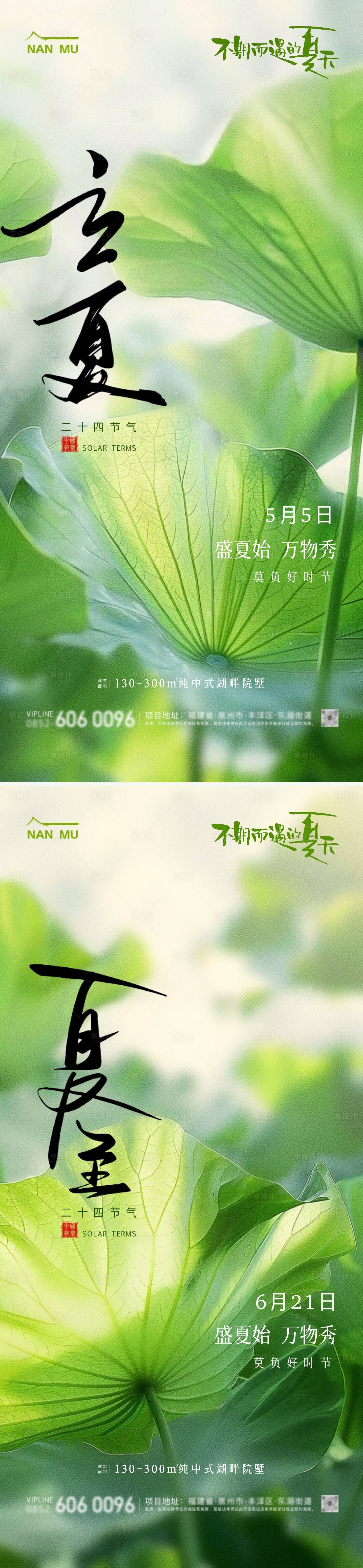源文件下載【享設計】搜索編號：45670023524921379【立夏夏至節氣荷葉清新海報】