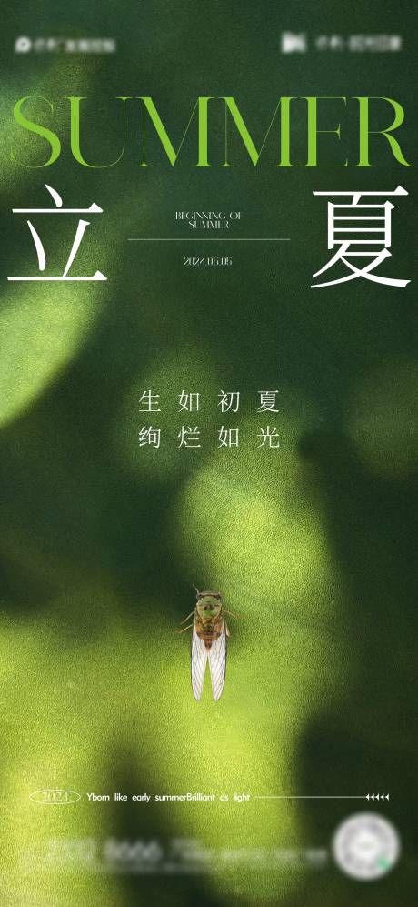 源文件下载【立夏节气海报】编号：81400023490606744