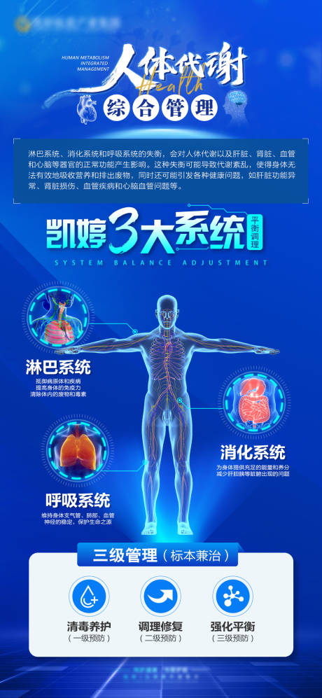 源文件下载【人体代谢海报】编号：71330023348969751