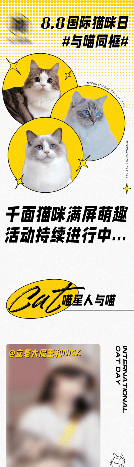 源文件下载【国际猫咪日活动长图】编号：29610023615838536