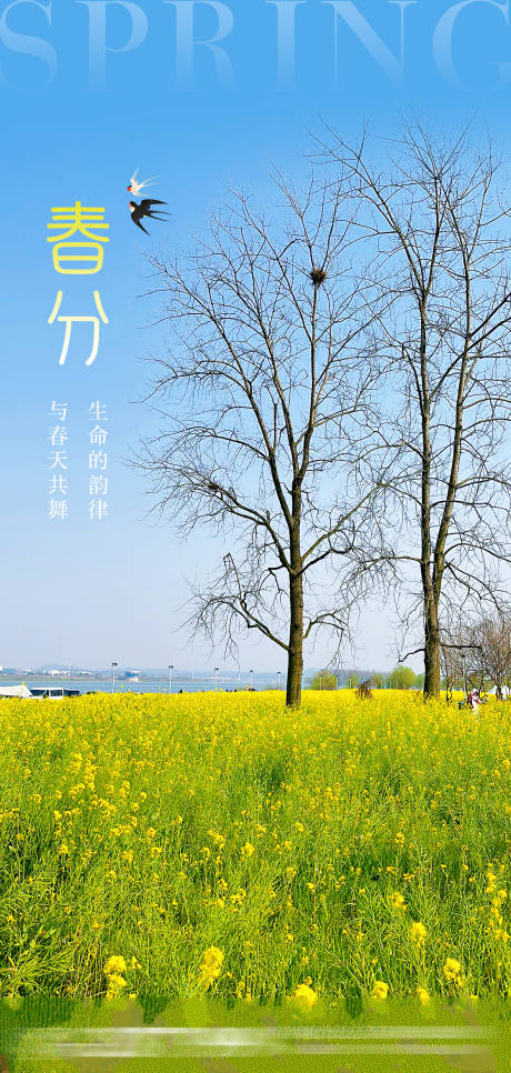 源文件下載【春分】編號(hào)：50220023230722403