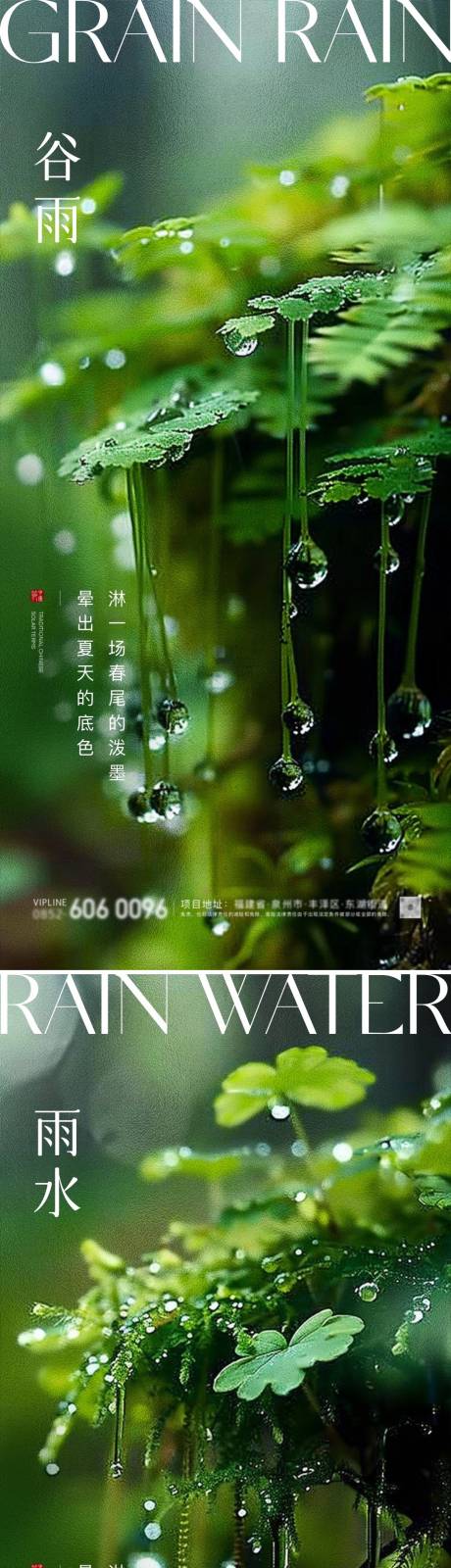 源文件下载【谷雨雨水节气露珠海报】编号：49840023225026853