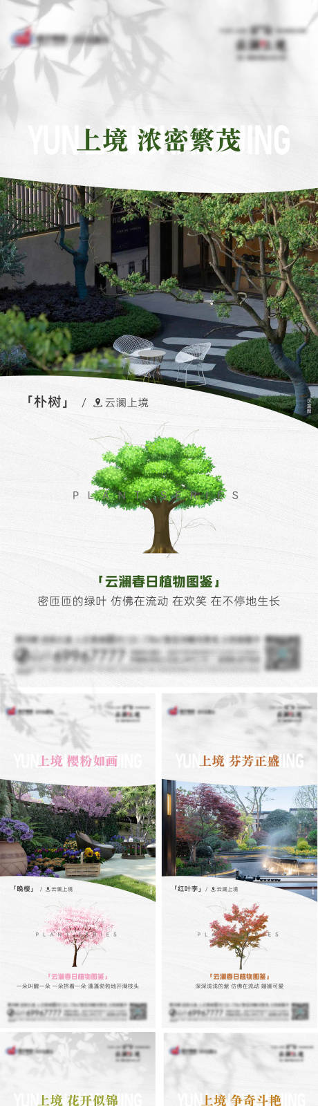 源文件下载【景观园林植物系列海报】编号：84050023113573245