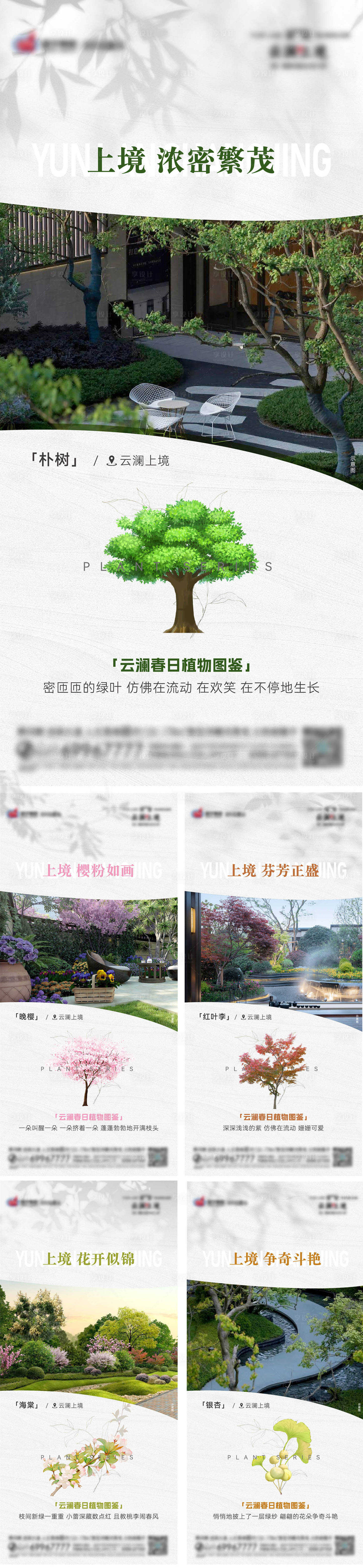 源文件下載【享設(shè)計】搜索編號：84050023113573245【景觀園林植物系列海報】