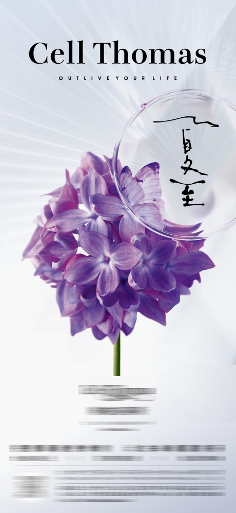源文件下载【夏至节气海报】编号：17270023155673513