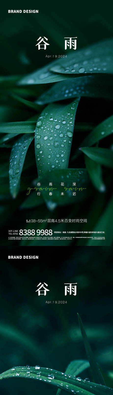 编号：54450023272174617【享设计】源文件下载-清新谷雨节气海报