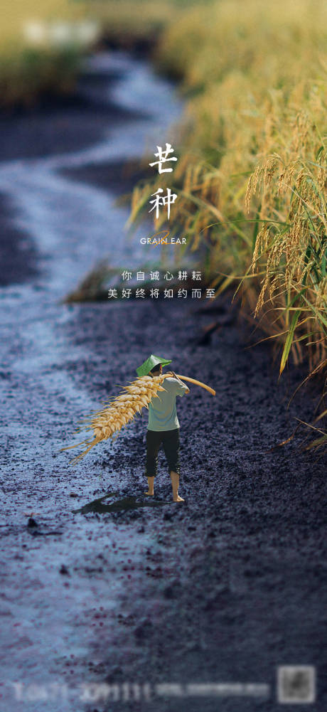 源文件下载【芒种海报】编号：59360023635492670