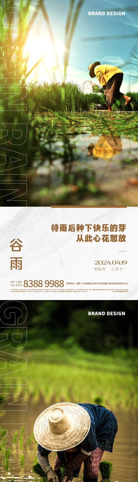 源文件下载【谷雨节气海报】编号：55780023272503147