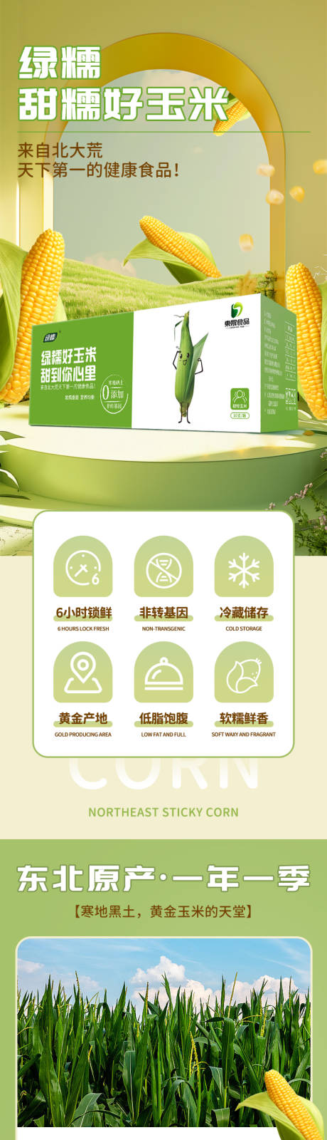 源文件下载【玉米详情】编号：80340023006781044