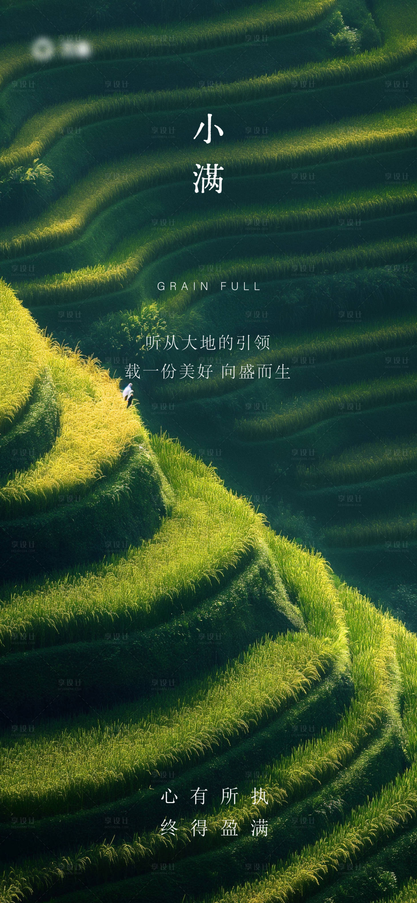 源文件下載【享設計】搜索編號：31110023237418030【小滿節氣海報】